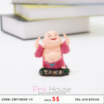 គ្រឿងតំាងលម្អថ្ម B25