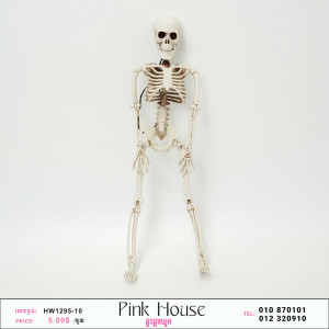 គ្រឿង HalloWeen O
