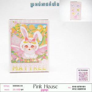 ប្រអប់អាថ៏កំបំាងP