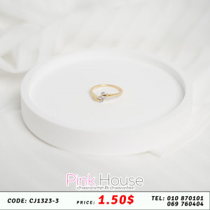 ចិញ្ចៀន R35