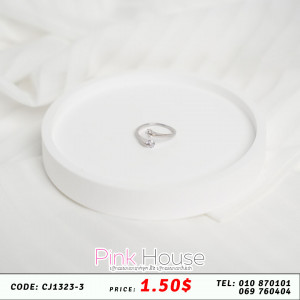 ចិញ្ចៀន R36