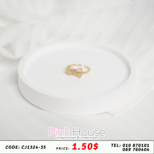 ចិញ្ចៀន R35