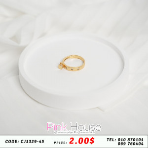 ចិញ្ចៀនR29