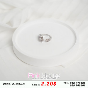 ចិញ្ចៀន R25