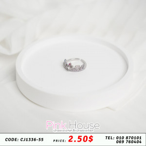 ចិញ្ចៀន R23