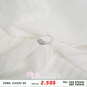 ចិញ្ចៀន R22