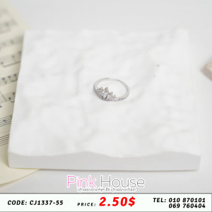 ចិញ្ចៀន R24