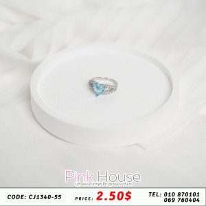 ចិញ្ចៀន R20