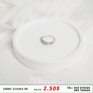 ចិញ្ចៀន R16