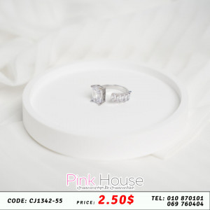 ចិញ្ចៀន R18
