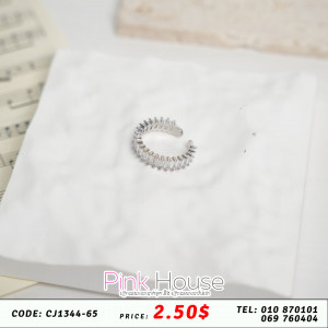 ចិញ្ចៀន R13