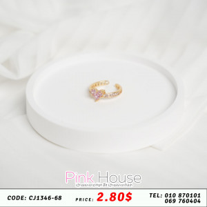 ចិញ្ចៀន R12