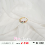 ចិញ្ចៀន R10