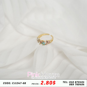 ចិញ្ចៀន R10