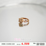 ចិញ្ចៀន R4