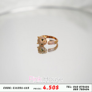 ចិញ្ចៀន R4