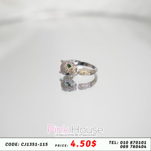 ចិញ្ចៀន R3