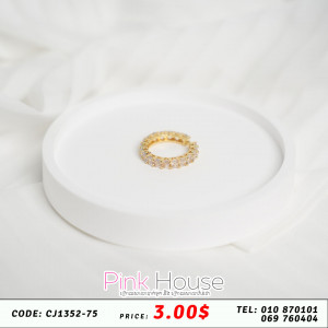 ចិញ្ចៀន R2