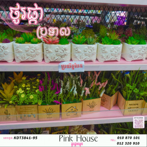 ប្រទាលជ័រ7