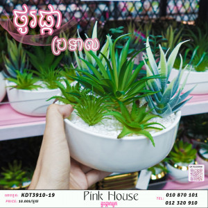 ប្រទាលជ័រkg