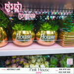 ប្រទាលជ័រke
