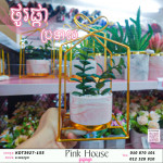 ប្រទាលជ័រDr