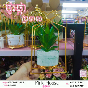 ប្រទាលជ័រDF