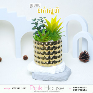 ប្រទាល YT