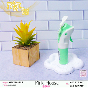 កង្ហាដៃ19