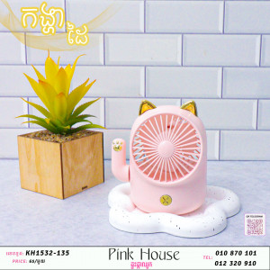 កង្ហាដៃ6