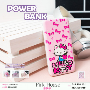 Power Bank20
